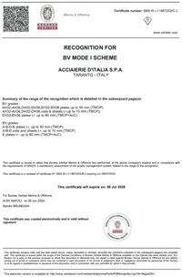 BUREAU VERITAS MODE I SCHEME (1) (003)
